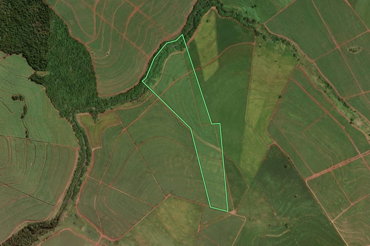 Imagem de satélite do imóvel rural em Paraguaçu Paulista (SP), com o contorno declarado no CAR desenhado por cima.