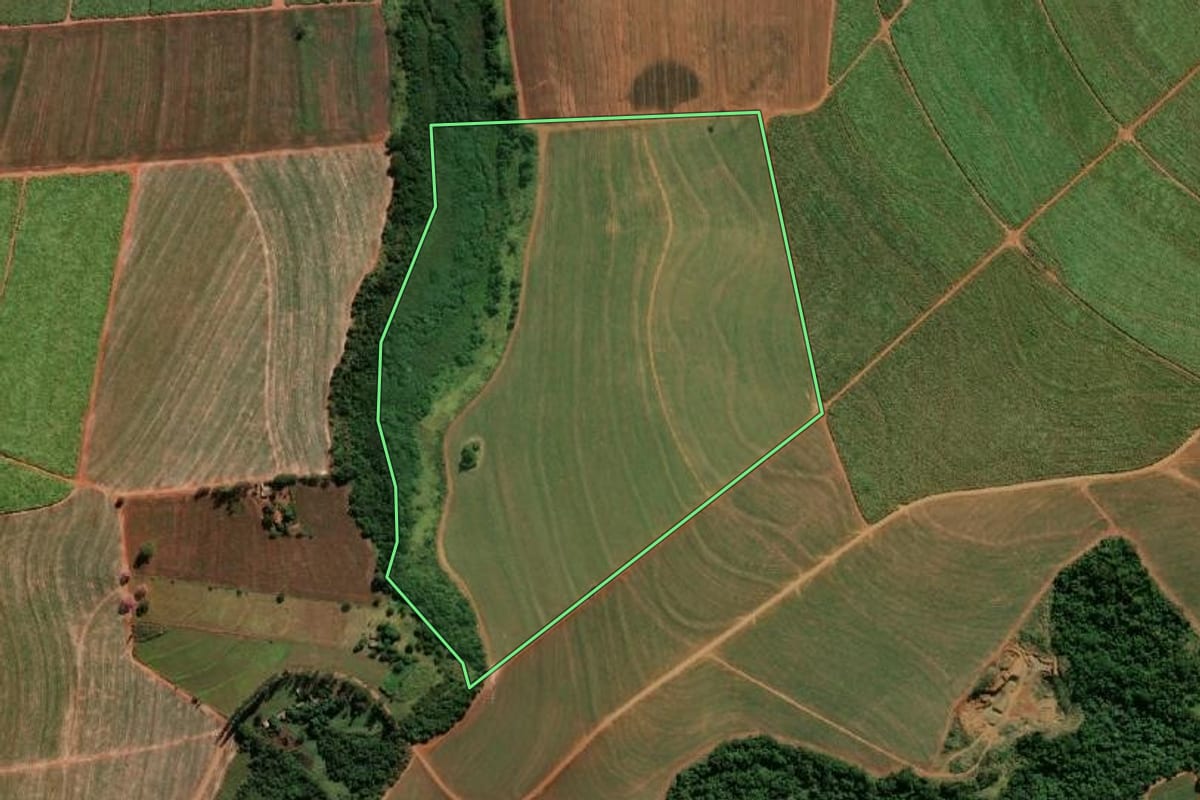 Imagem de satélite do imóvel rural em Paraguaçu Paulista (SP), com o contorno declarado no CAR desenhado por cima.