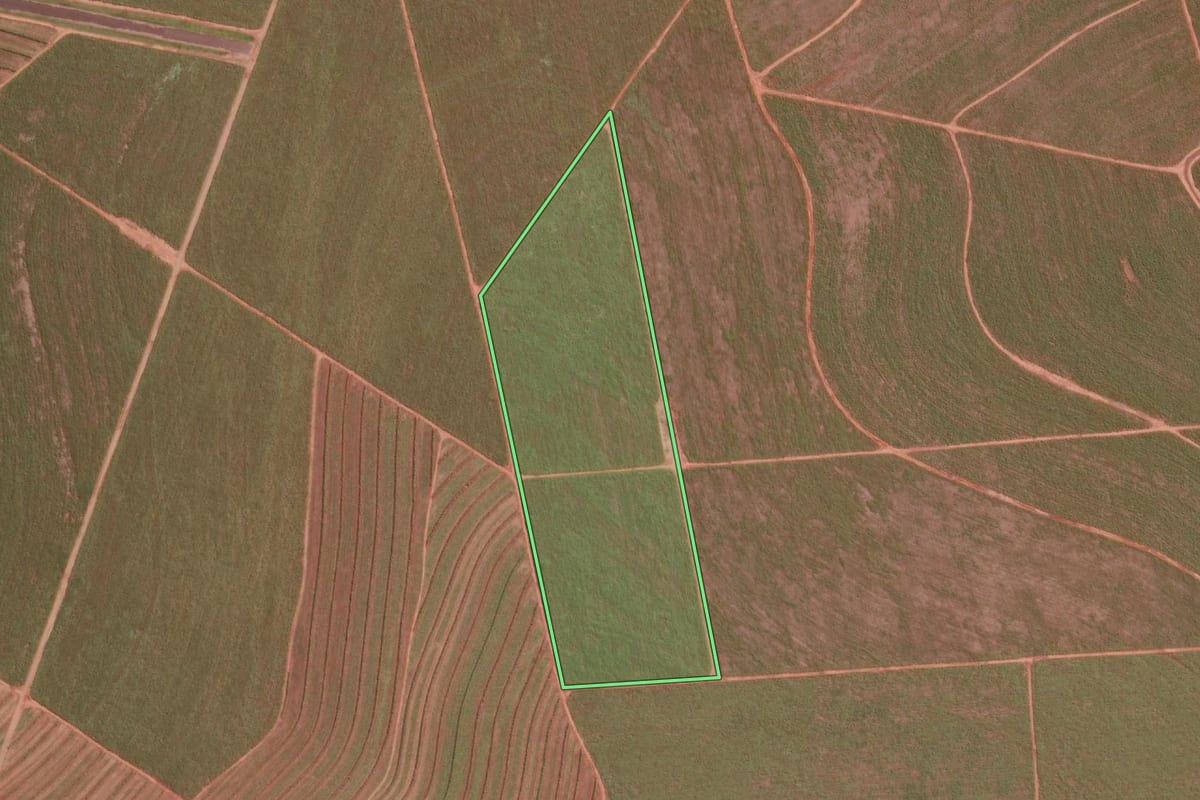 Imagem de satélite do imóvel rural em Paraguaçu Paulista (SP), com o contorno declarado no CAR desenhado por cima.