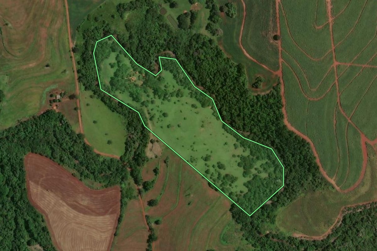 Imagem de satélite do imóvel rural em Paraguaçu Paulista (SP), com o contorno declarado no CAR desenhado por cima.