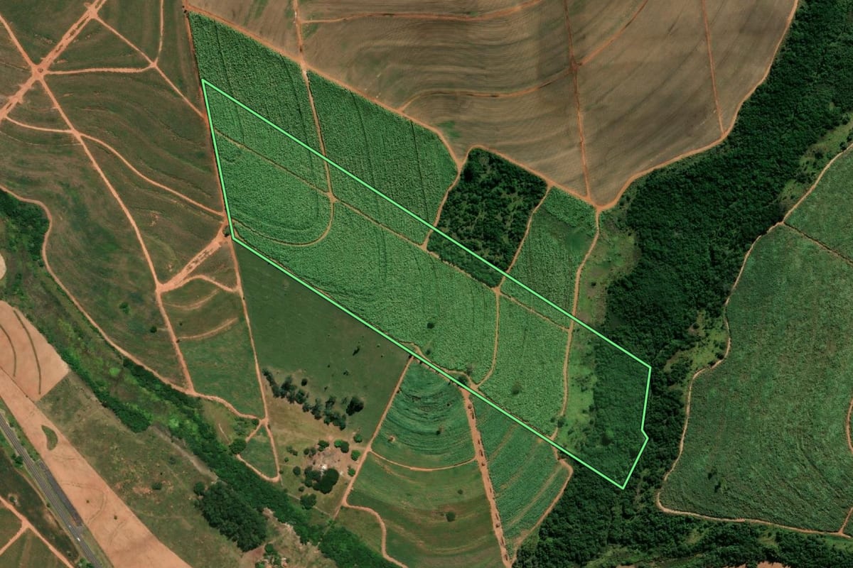 Imagem de satélite do imóvel rural em Paraguaçu Paulista (SP), com o contorno declarado no CAR desenhado por cima.