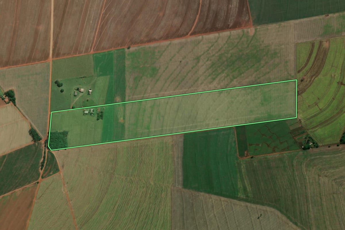 Imagem de satélite do imóvel rural em Paraguaçu Paulista (SP), com o contorno declarado no CAR desenhado por cima.