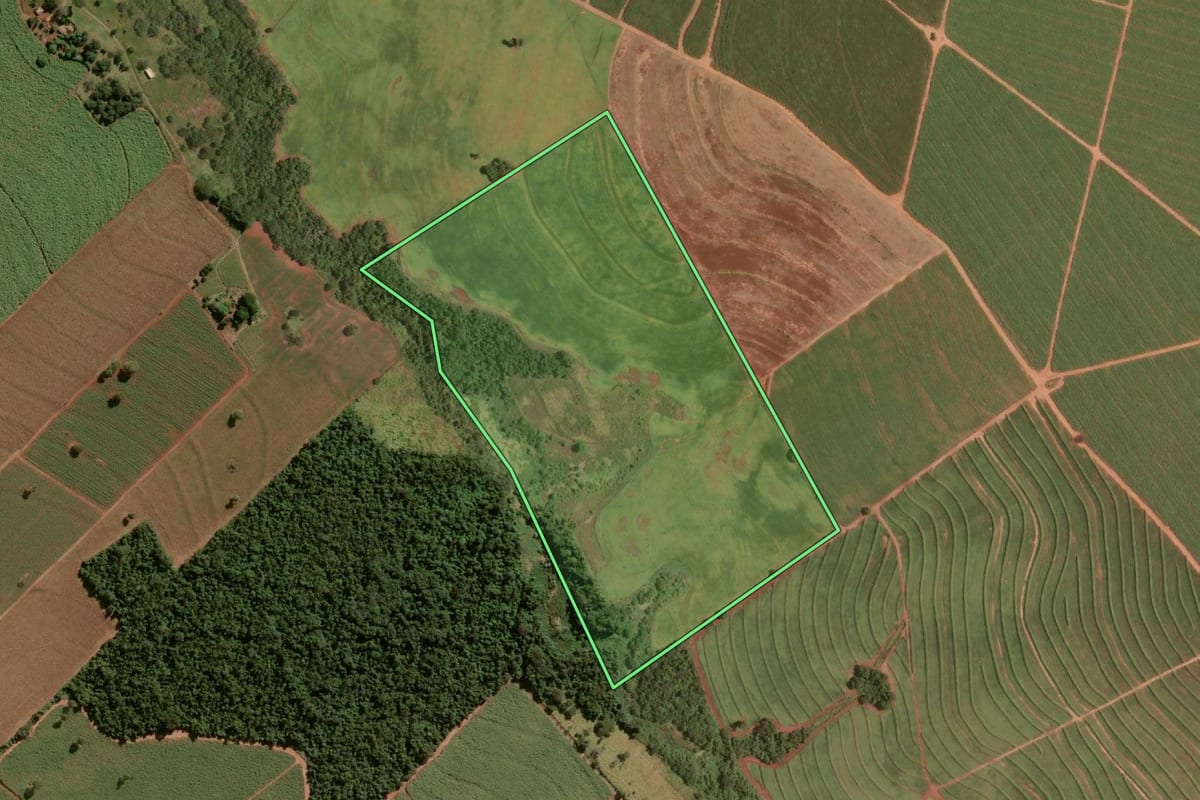 Imagem de satélite do imóvel rural em Paraguaçu Paulista (SP), com o contorno declarado no CAR desenhado por cima.