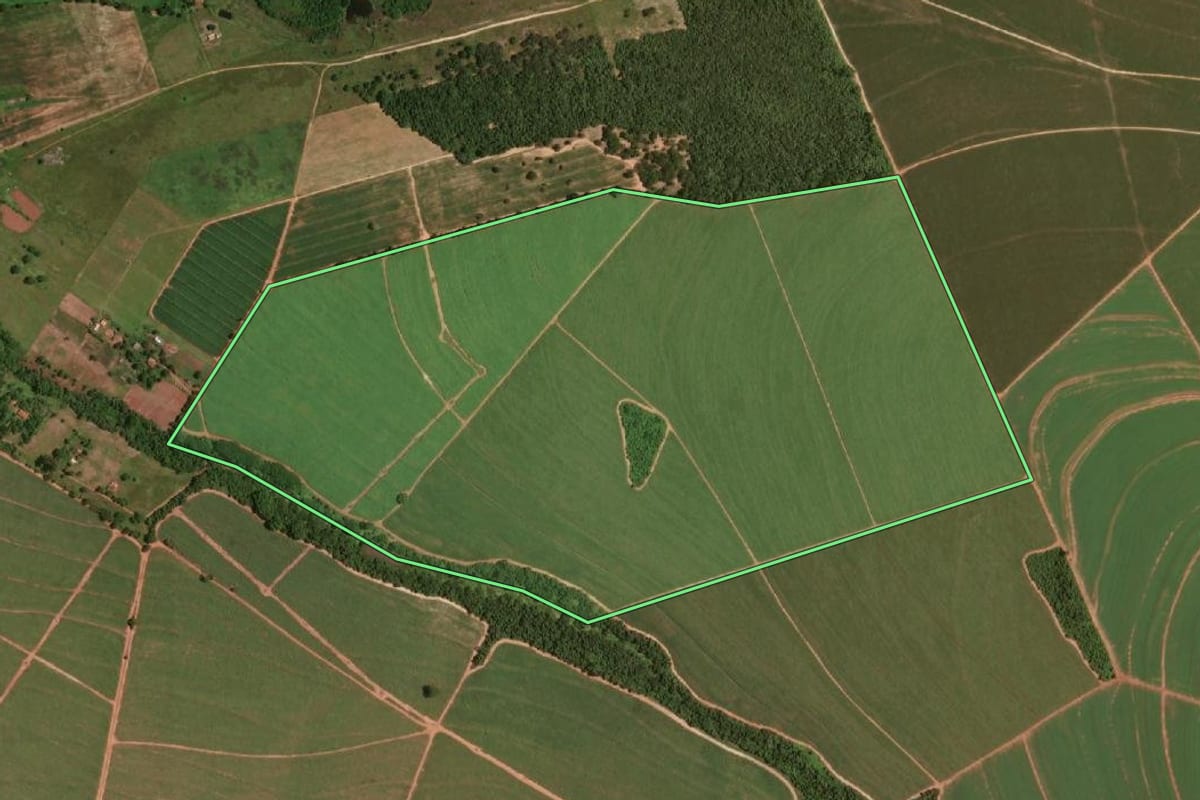 Imagem de satélite do imóvel rural em Paraguaçu Paulista (SP), com o contorno declarado no CAR desenhado por cima.