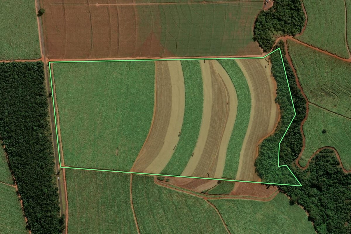 Imagem de satélite do imóvel rural em Paraguaçu Paulista (SP), com o contorno declarado no CAR desenhado por cima.