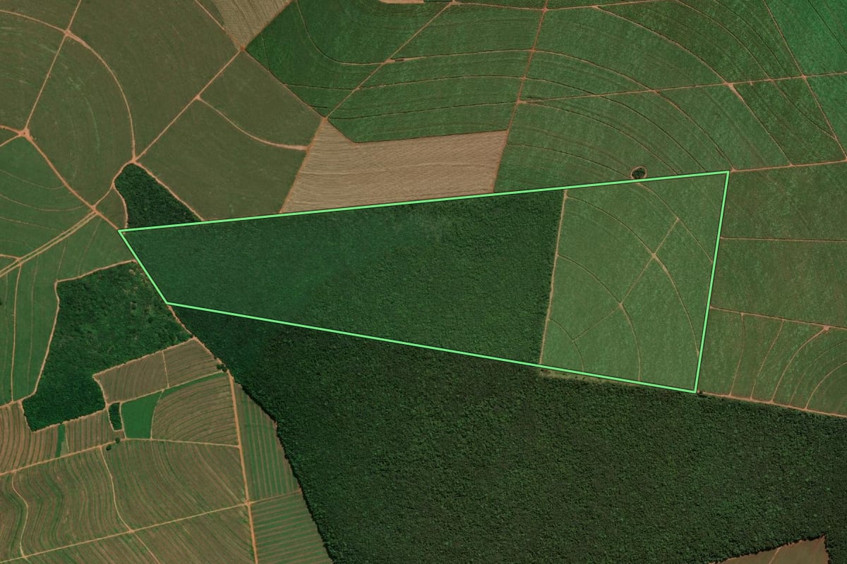 Imagem de satélite do imóvel rural em Paraguaçu Paulista (SP), com o contorno declarado no CAR desenhado por cima.