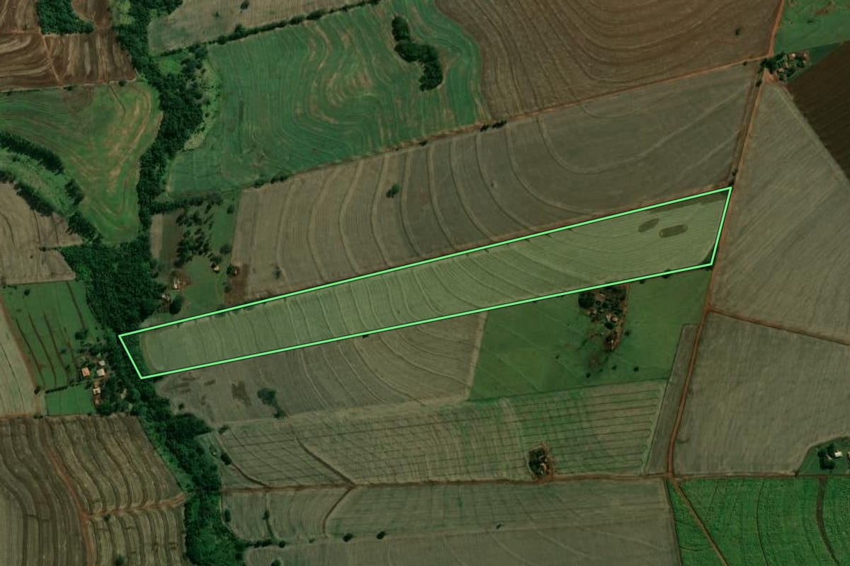 Imagem de satélite do imóvel rural em Paraguaçu Paulista (SP), com o contorno declarado no CAR desenhado por cima.