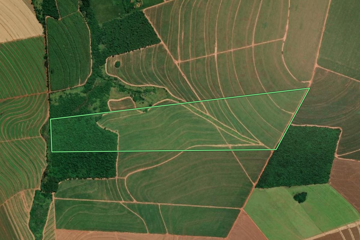 Imagem de satélite do imóvel rural em Paraguaçu Paulista (SP), com o contorno declarado no CAR desenhado por cima.