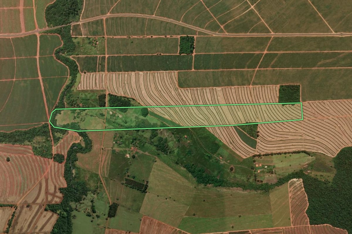 Imagem de satélite do imóvel rural em Paraguaçu Paulista (SP), com o contorno declarado no CAR desenhado por cima.