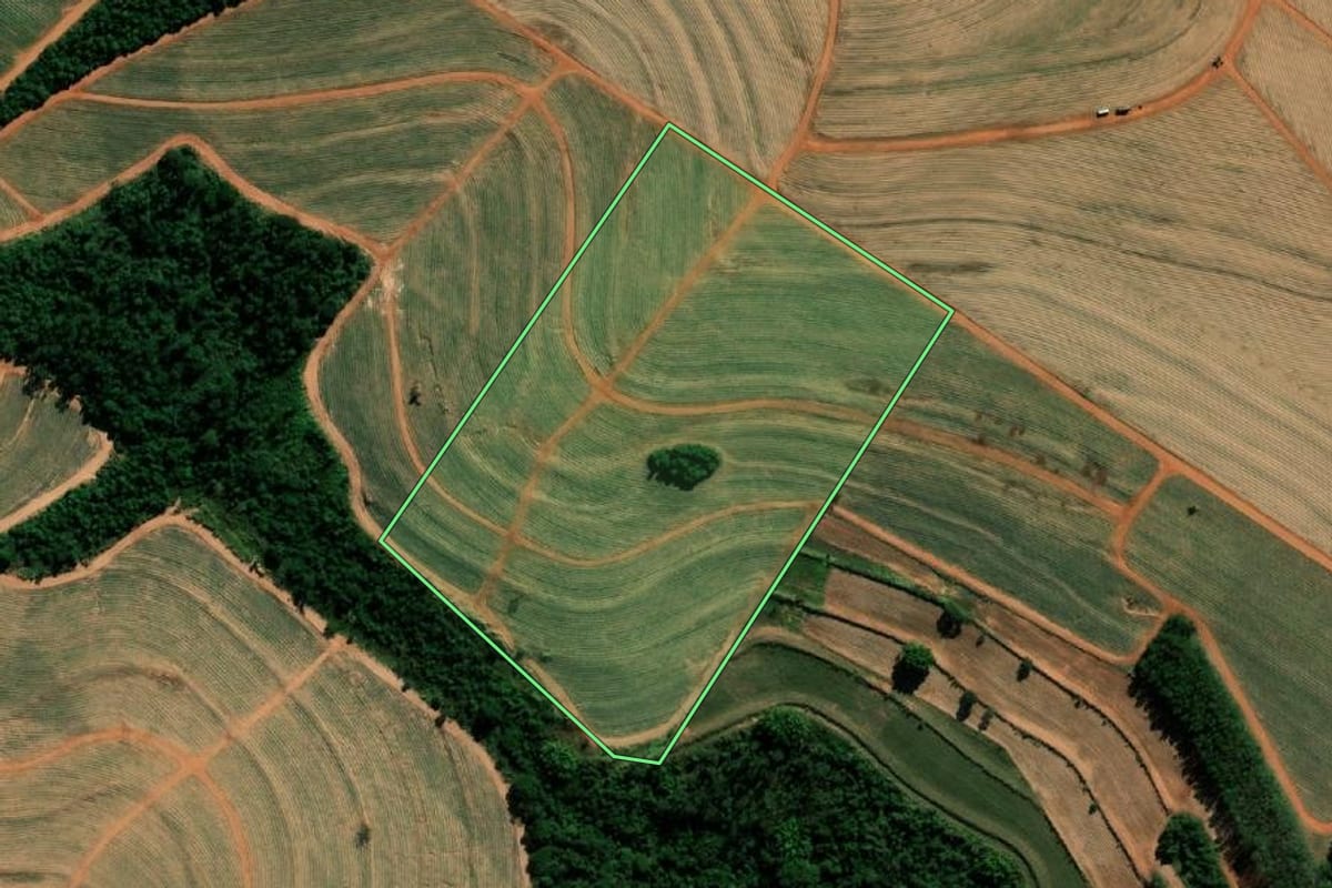 Imagem de satélite do imóvel rural em Paraguaçu Paulista (SP), com o contorno declarado no CAR desenhado por cima.