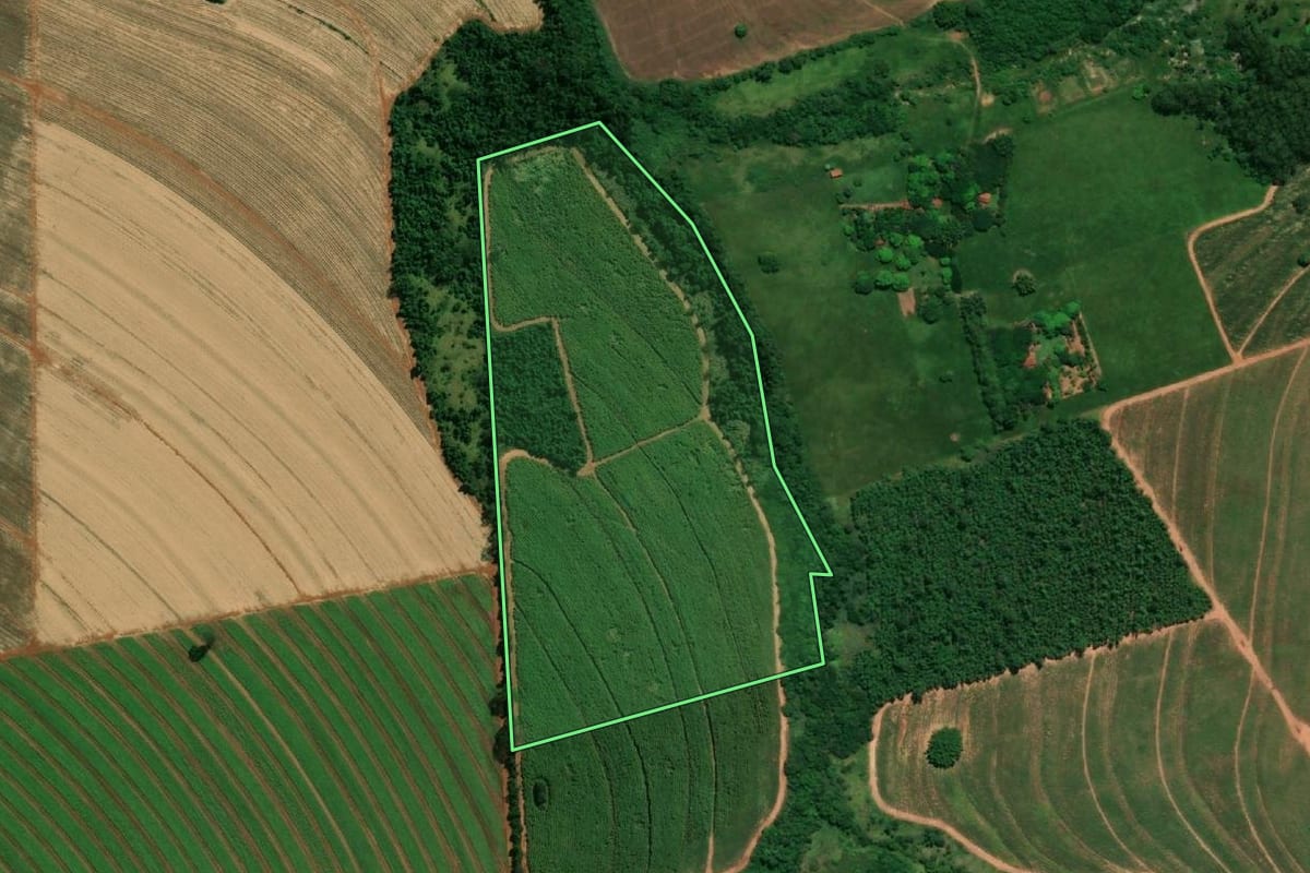 Imagem de satélite do imóvel rural em Paraguaçu Paulista (SP), com o contorno declarado no CAR desenhado por cima.