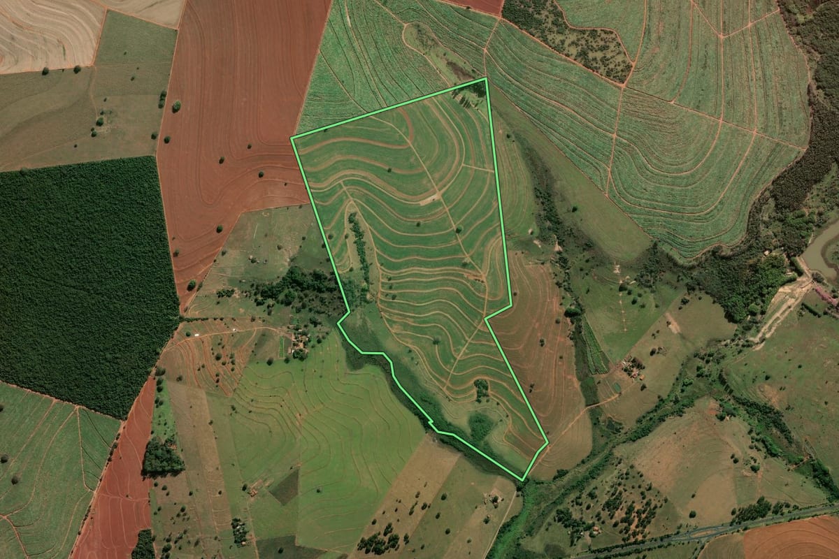 Imagem de satélite do imóvel rural em Paraguaçu Paulista (SP), com o contorno declarado no CAR desenhado por cima.