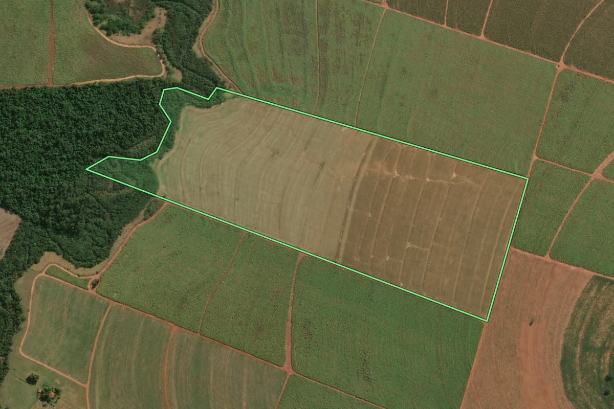 Imagem de satélite do imóvel rural em Paraguaçu Paulista (SP), com o contorno declarado no CAR desenhado por cima.