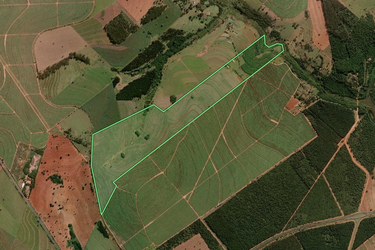 Imagem de satélite do imóvel rural em Paraguaçu Paulista (SP), com o contorno declarado no CAR desenhado por cima.