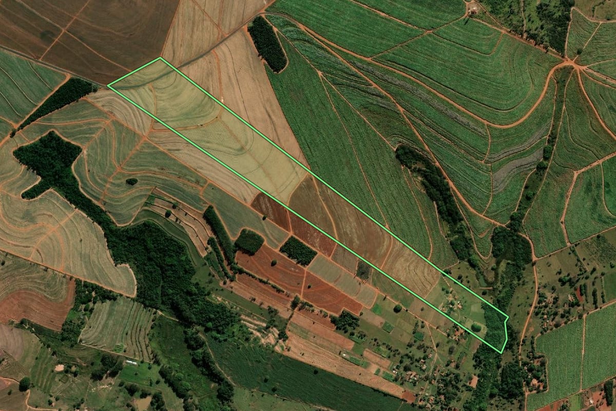 Imagem de satélite do imóvel rural em Paraguaçu Paulista (SP), com o contorno declarado no CAR desenhado por cima.
