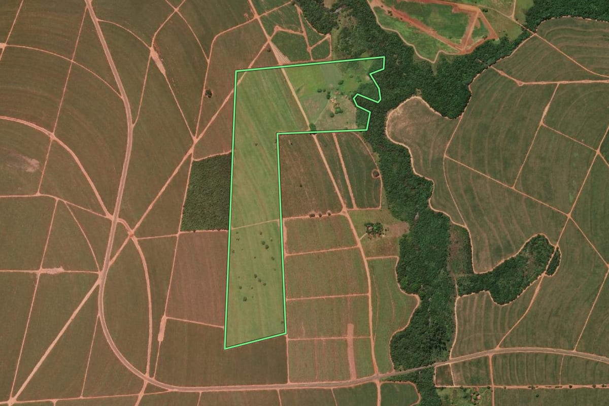 Imagem de satélite do imóvel rural em Paraguaçu Paulista (SP), com o contorno declarado no CAR desenhado por cima.