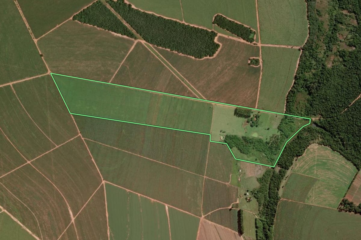 Imagem de satélite do imóvel rural em Paraguaçu Paulista (SP), com o contorno declarado no CAR desenhado por cima.