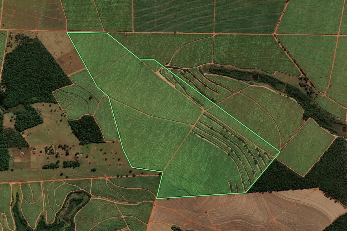 Imagem de satélite do imóvel rural em Paraguaçu Paulista (SP), com o contorno declarado no CAR desenhado por cima.