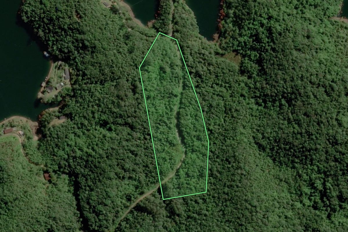 Imagem de satélite do imóvel rural em Paraibuna (SP), com o contorno declarado no CAR desenhado por cima.