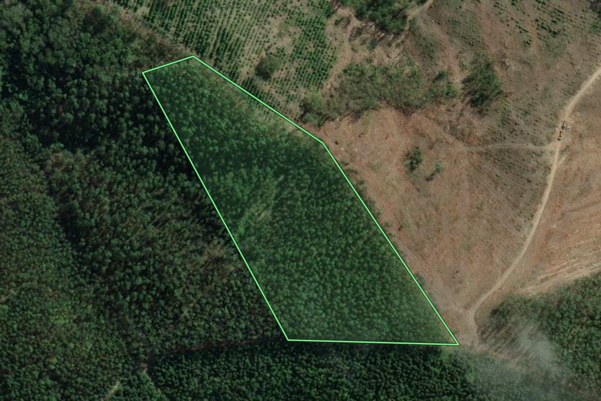 Imagem de satélite do imóvel rural em Paraibuna (SP), com o contorno declarado no CAR desenhado por cima.