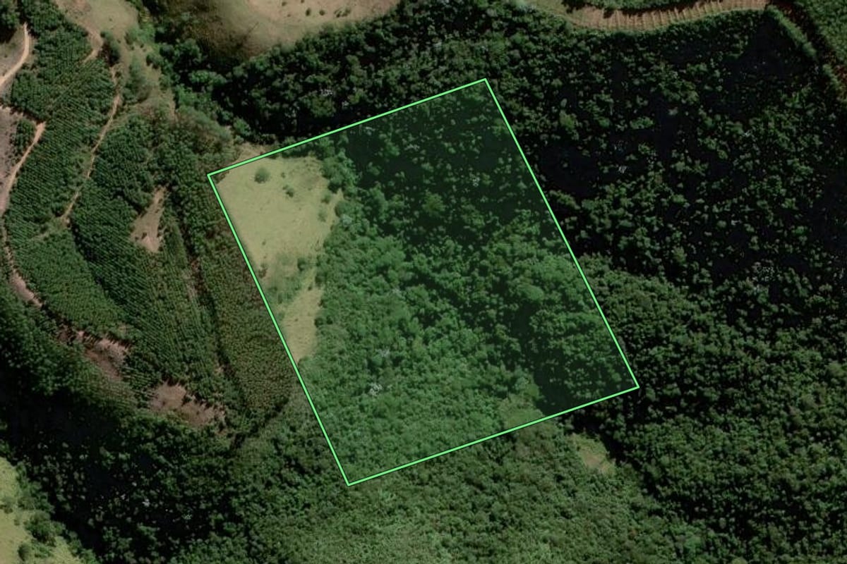 Imagem de satélite do imóvel rural em Paraibuna (SP), com o contorno declarado no CAR desenhado por cima.
