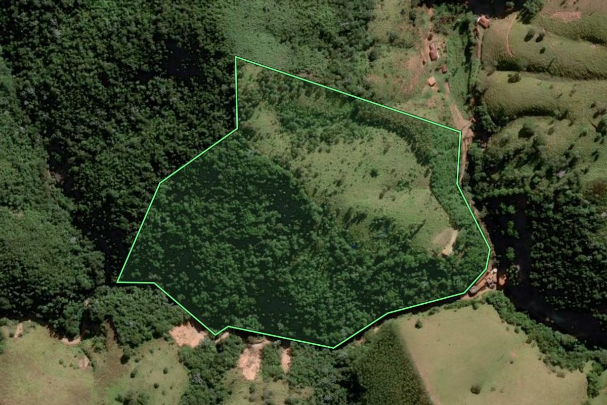 Imagem de satélite do imóvel rural em Paraibuna (SP), com o contorno declarado no CAR desenhado por cima.