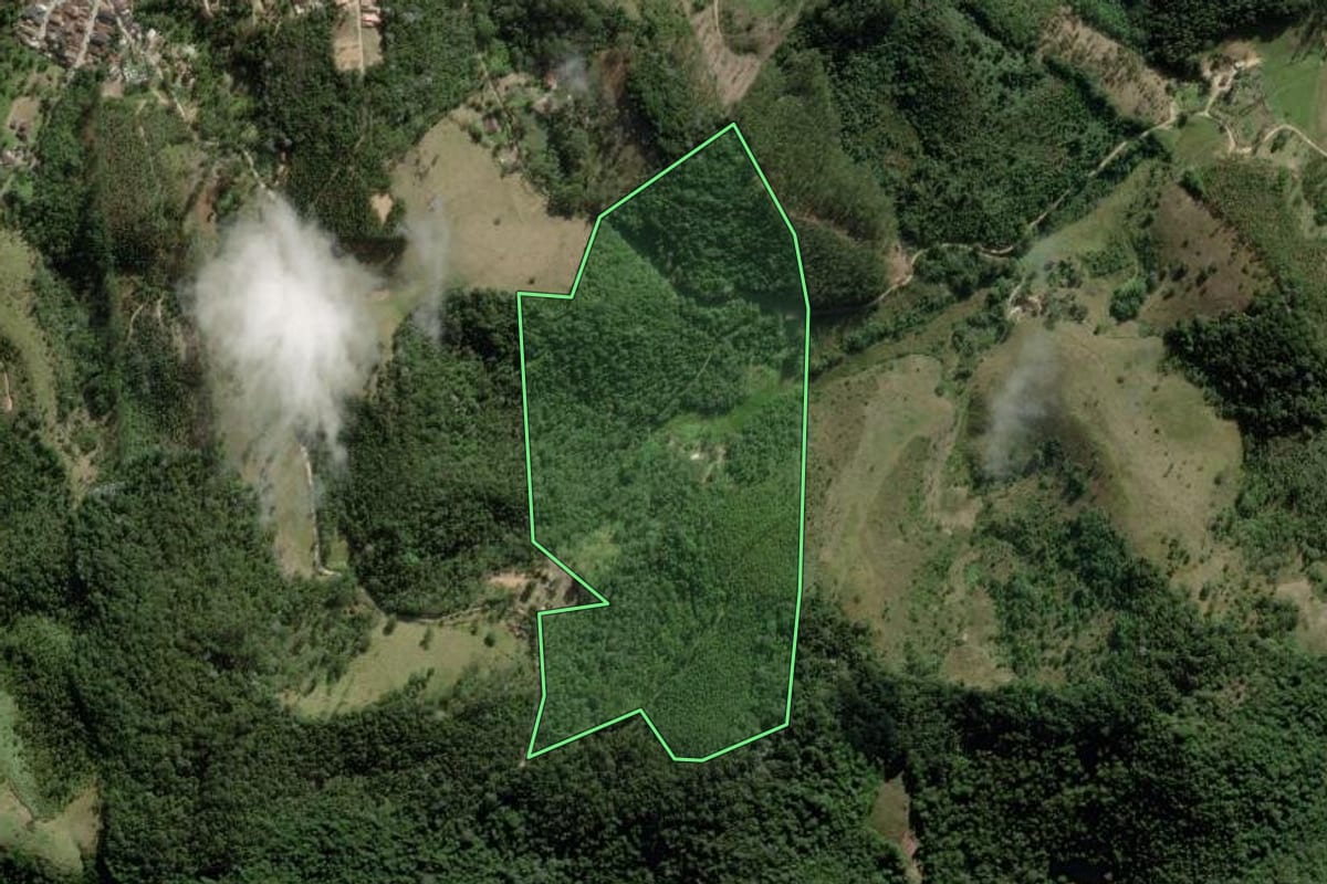 Imagem de satélite do imóvel rural em Paraibuna (SP), com o contorno declarado no CAR desenhado por cima.