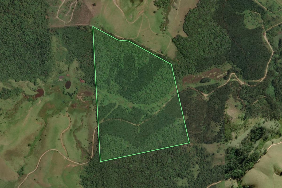 Imagem de satélite do imóvel rural em Paraibuna (SP), com o contorno declarado no CAR desenhado por cima.