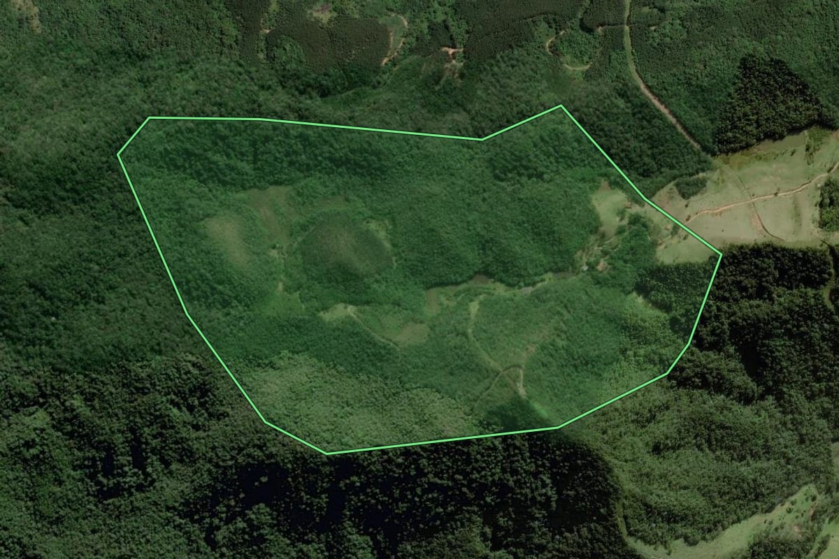 Imagem de satélite do imóvel rural em Paraibuna (SP), com o contorno declarado no CAR desenhado por cima.