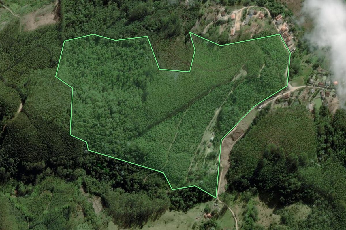 Imagem de satélite do imóvel rural em Paraibuna (SP), com o contorno declarado no CAR desenhado por cima.