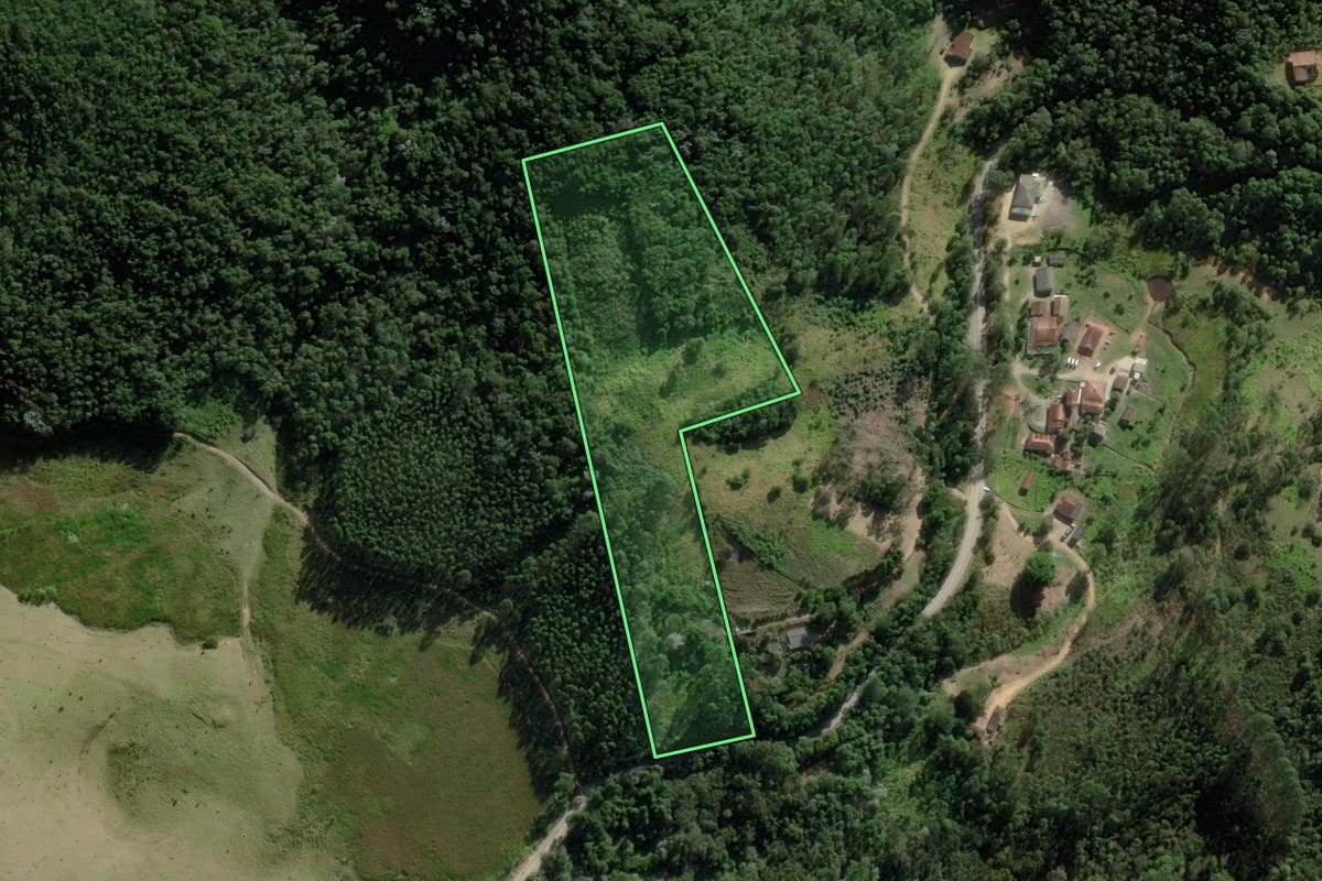 Imagem de satélite do imóvel rural em Paraibuna (SP), com o contorno declarado no CAR desenhado por cima.
