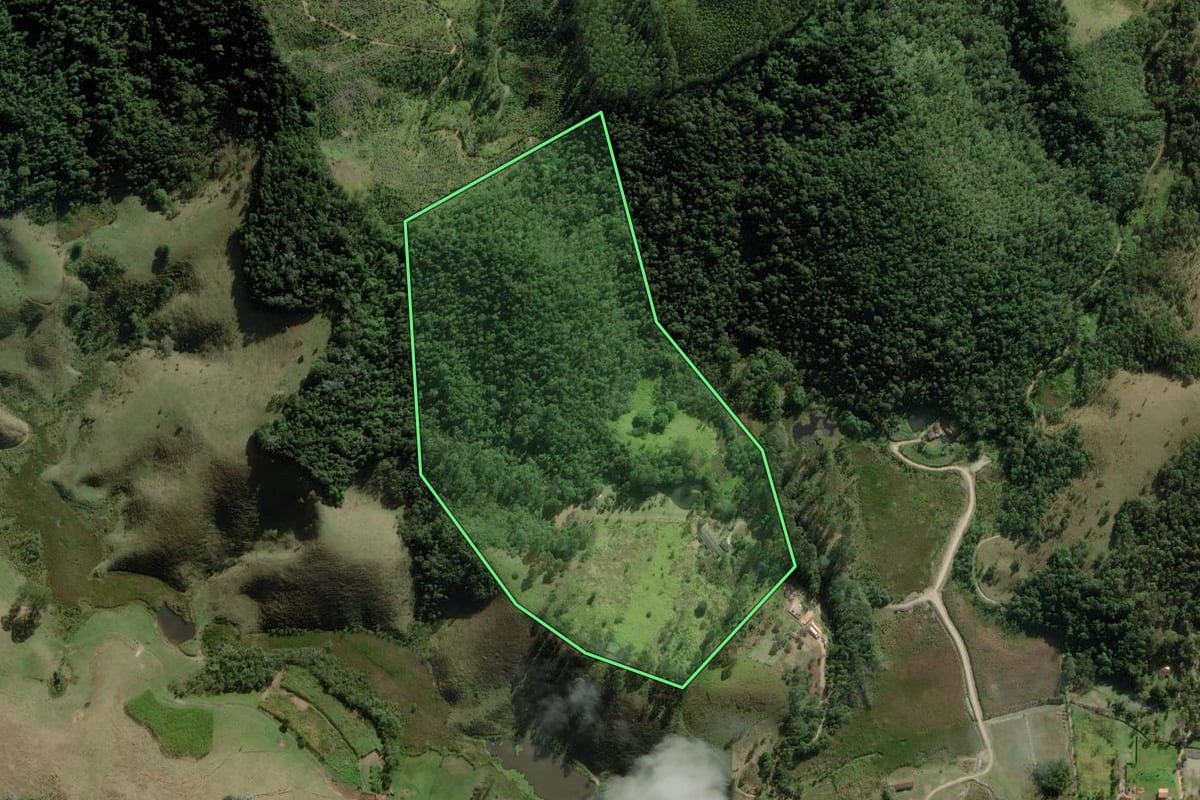 Imagem de satélite do imóvel rural em Paraibuna (SP), com o contorno declarado no CAR desenhado por cima.