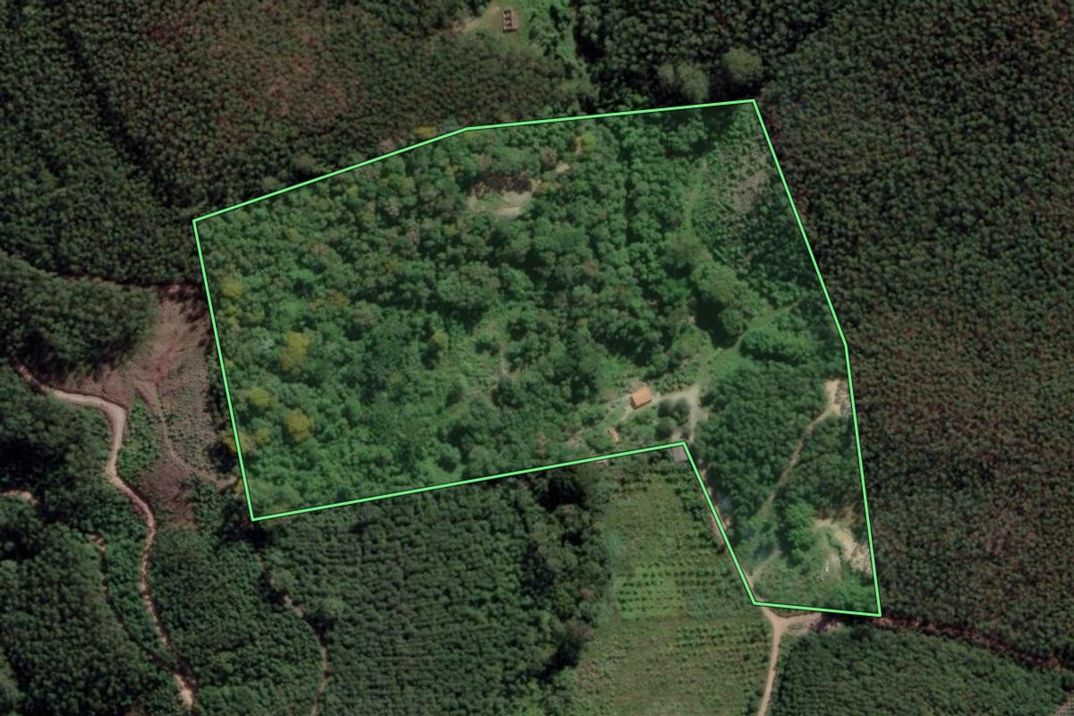 Imagem de satélite do imóvel rural em Paraibuna (SP), com o contorno declarado no CAR desenhado por cima.