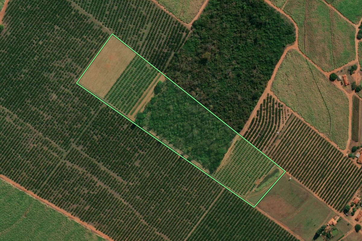 Imagem de satélite do imóvel rural em Paraíso (SP), com o contorno declarado no CAR desenhado por cima.