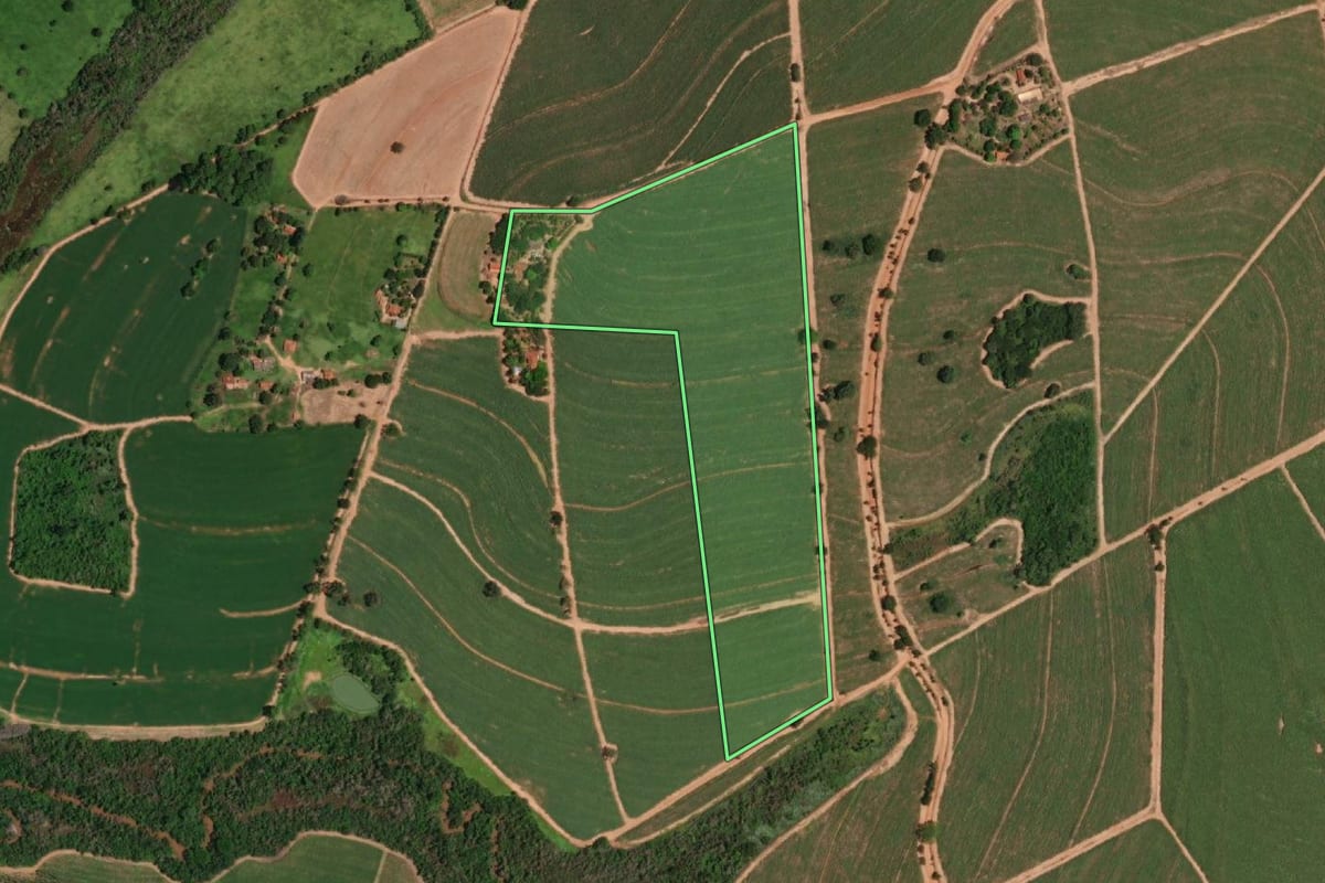 Imagem de satélite do imóvel rural em Paraíso (SP), com o contorno declarado no CAR desenhado por cima.