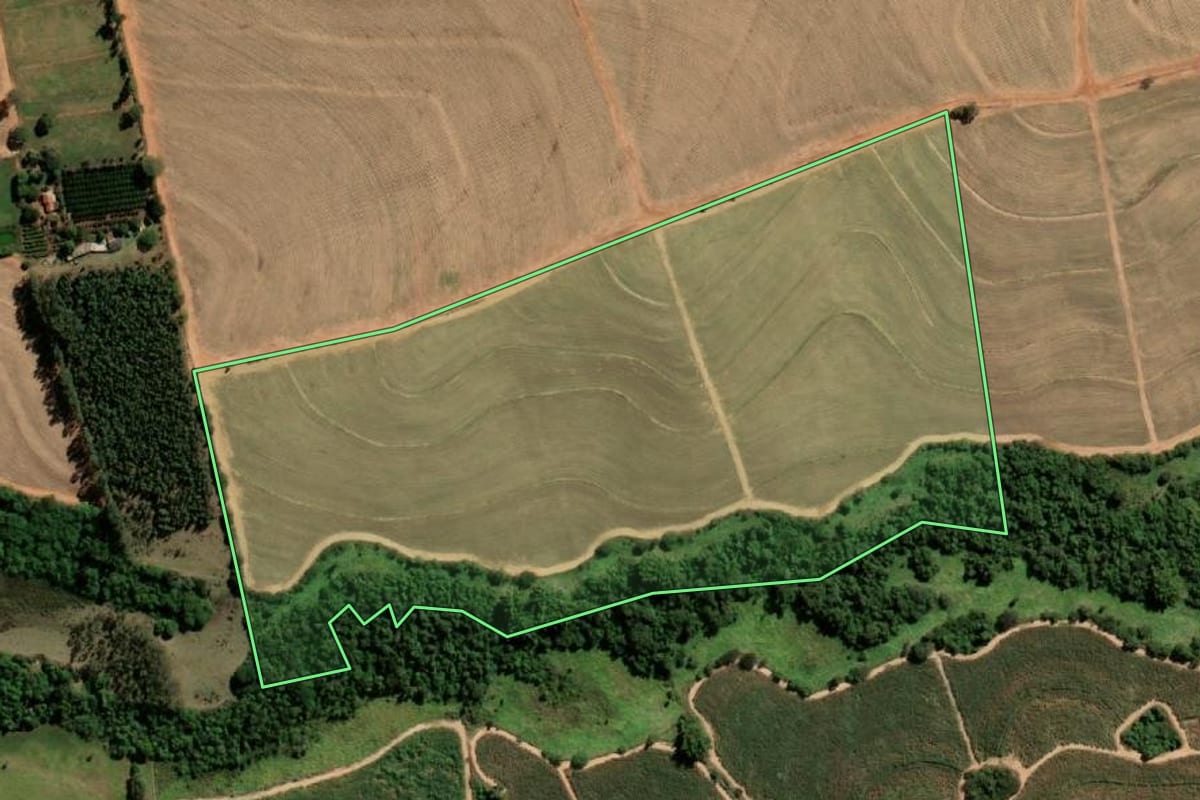 Imagem de satélite do imóvel rural em Paraíso (SP), com o contorno declarado no CAR desenhado por cima.