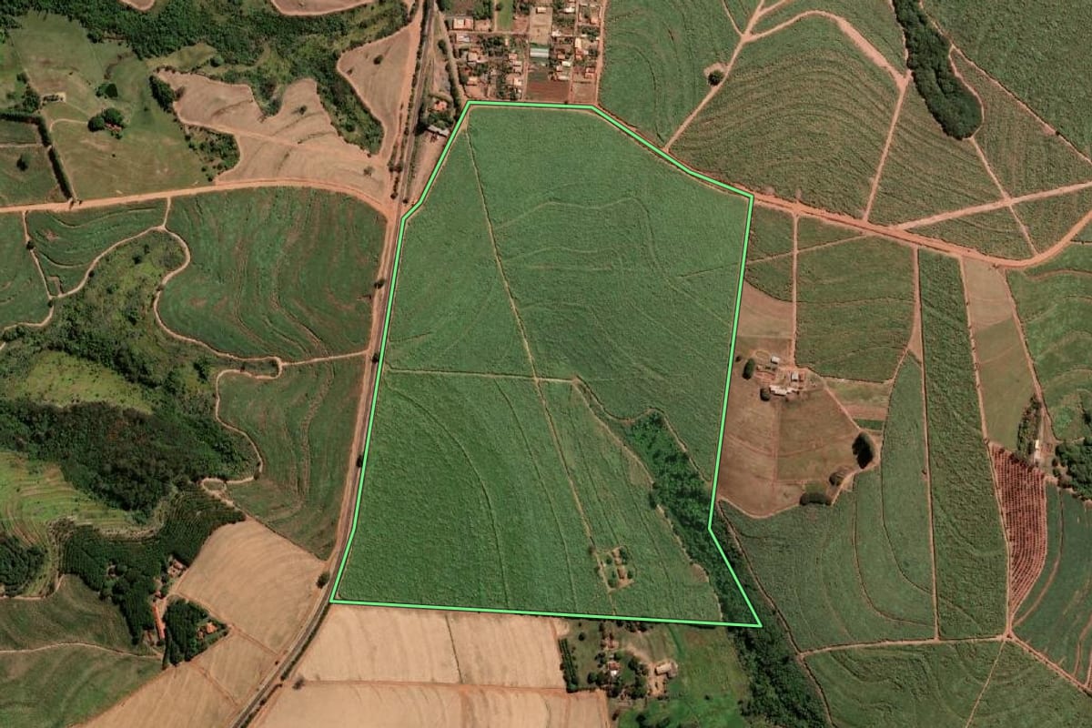 Imagem de satélite do imóvel rural em Paraíso (SP), com o contorno declarado no CAR desenhado por cima.
