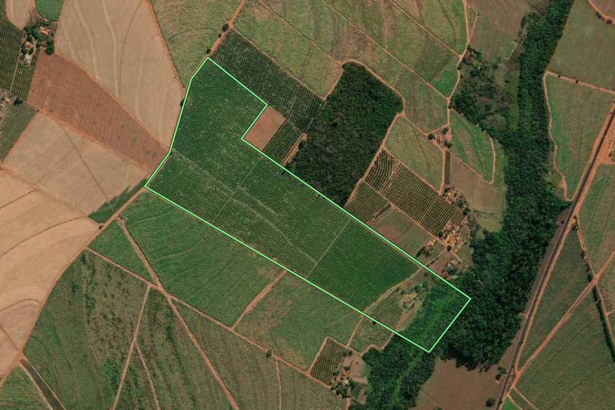 Imagem de satélite do imóvel rural em Paraíso (SP), com o contorno declarado no CAR desenhado por cima.