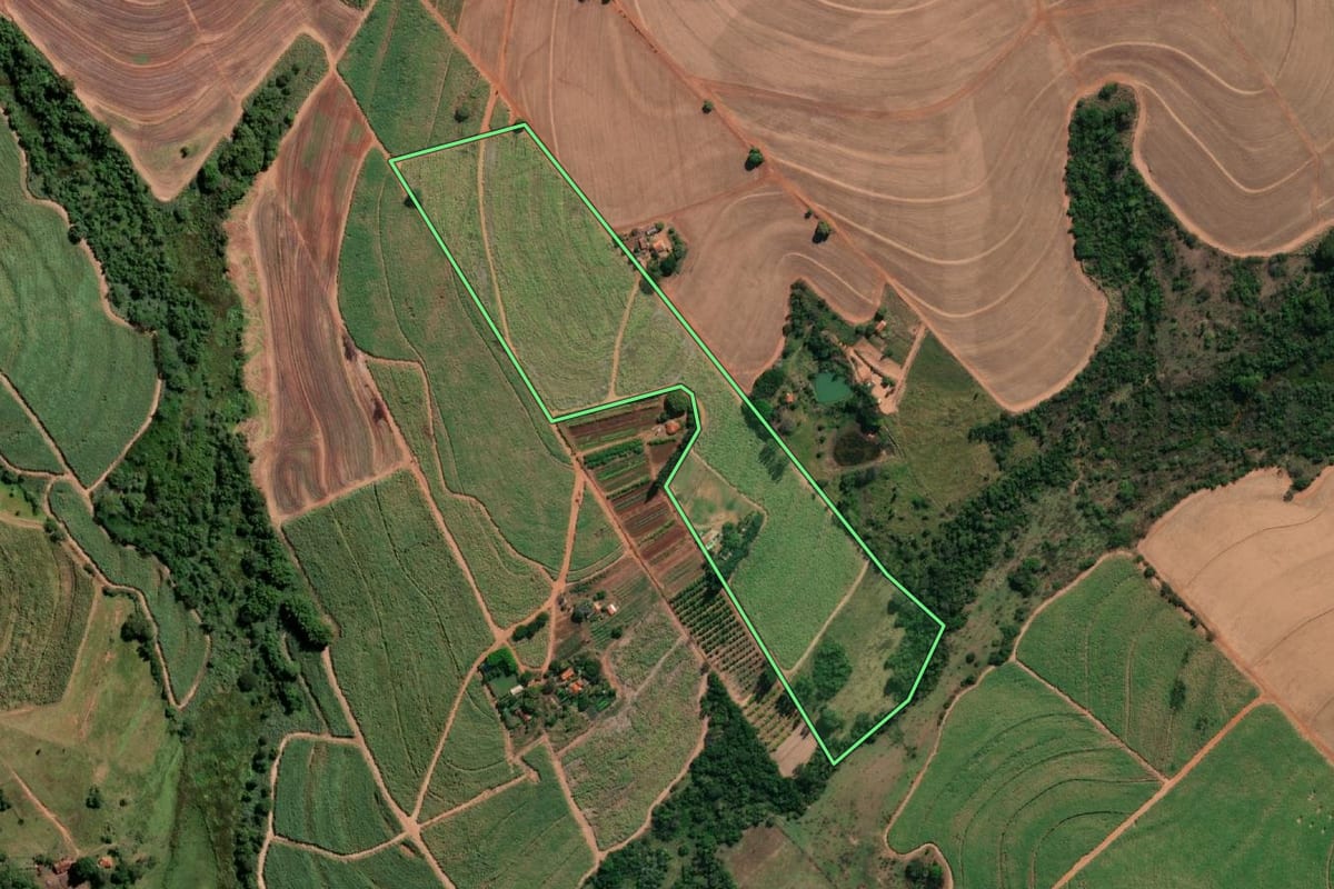 Imagem de satélite do imóvel rural em Paraíso (SP), com o contorno declarado no CAR desenhado por cima.