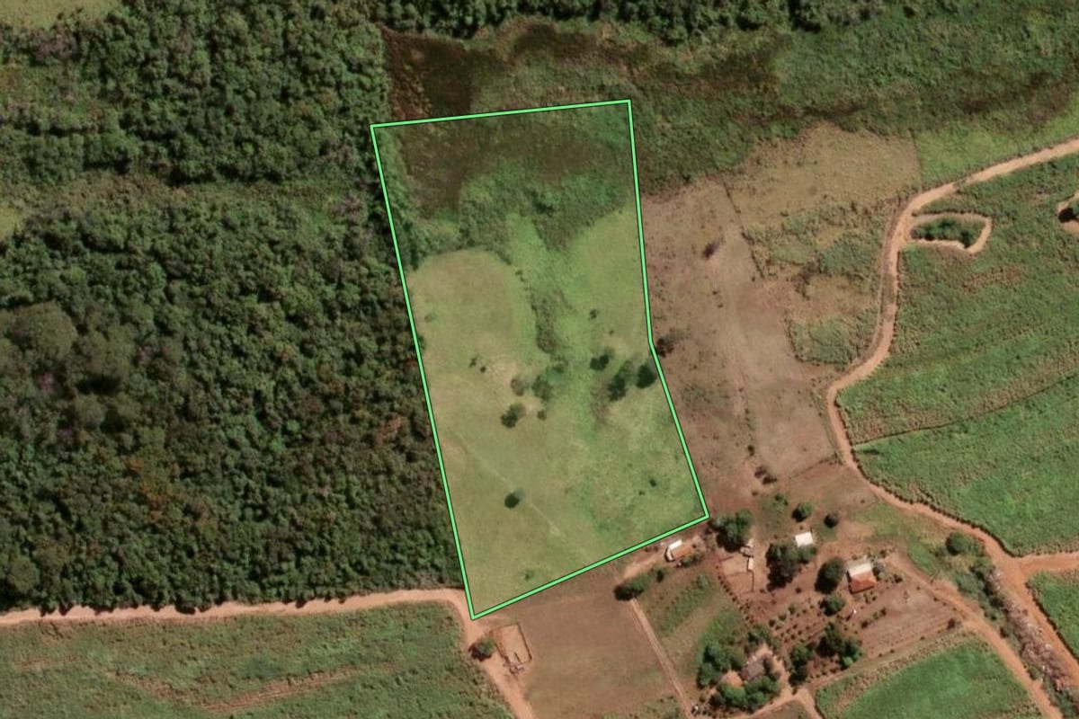 Imagem de satélite do imóvel rural em Paraíso (SP), com o contorno declarado no CAR desenhado por cima.