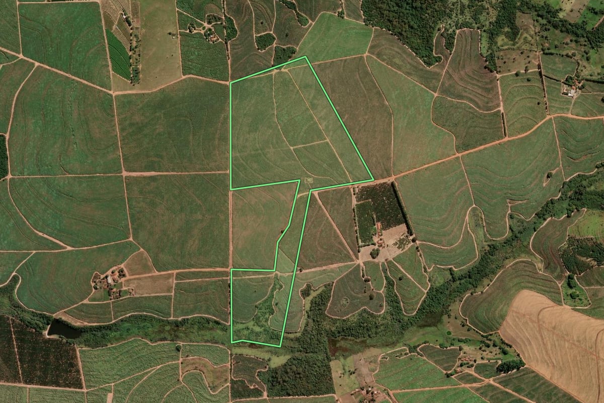 Imagem de satélite do imóvel rural em Paraíso (SP), com o contorno declarado no CAR desenhado por cima.