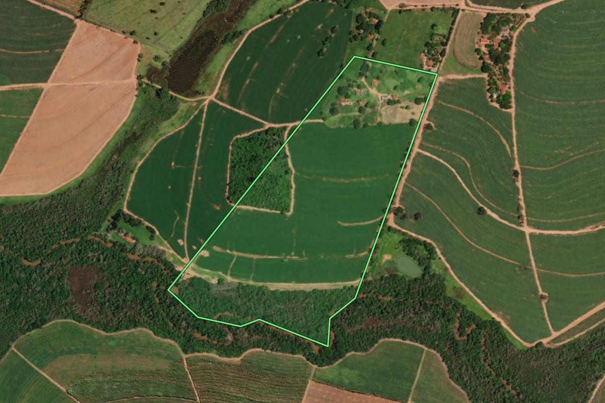 Imagem de satélite do imóvel rural em Paraíso (SP), com o contorno declarado no CAR desenhado por cima.