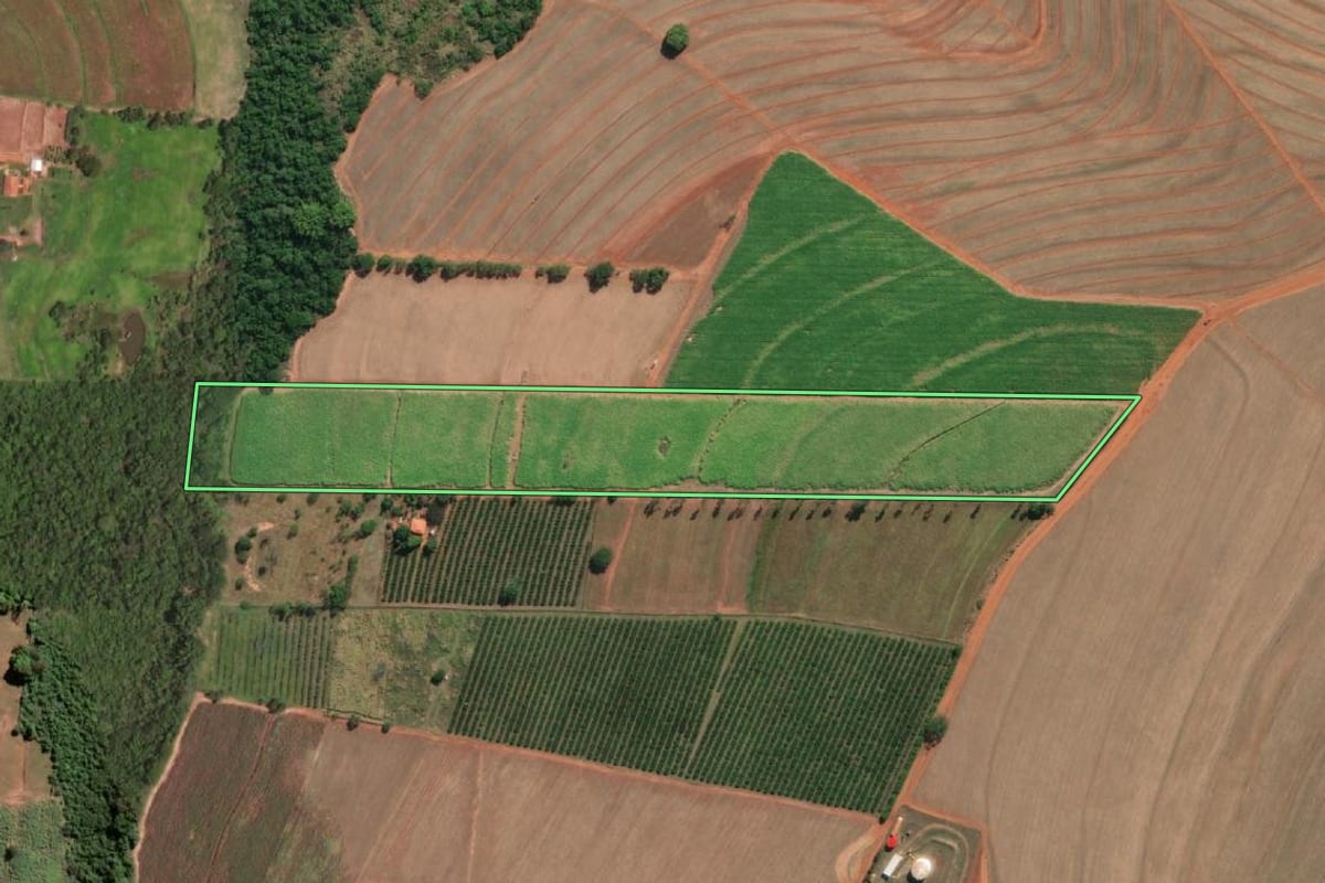 Imagem de satélite do imóvel rural em Paraíso (SP), com o contorno declarado no CAR desenhado por cima.