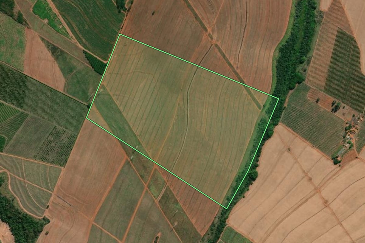 Imagem de satélite do imóvel rural em Paraíso (SP), com o contorno declarado no CAR desenhado por cima.