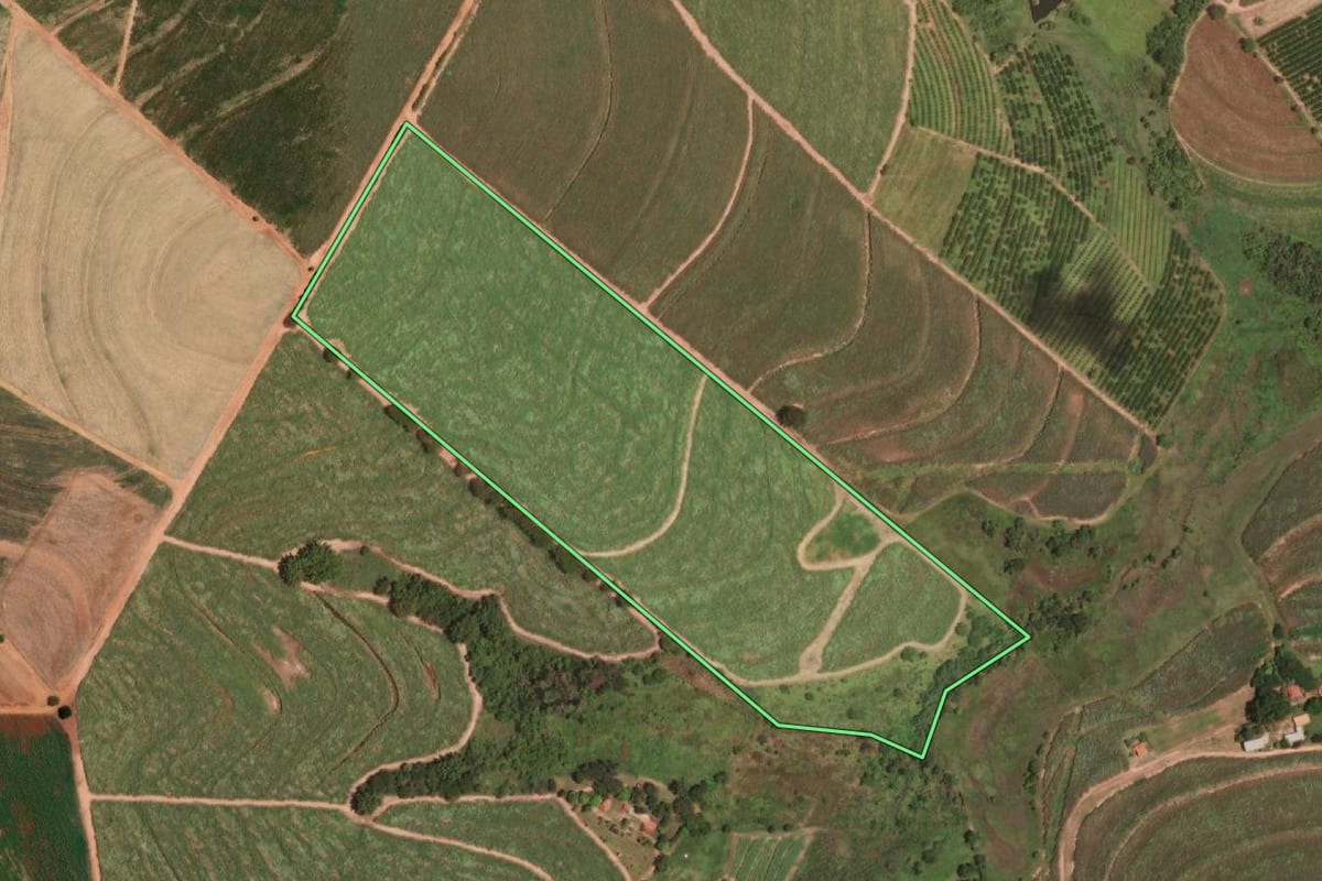 Imagem de satélite do imóvel rural em Paraíso (SP), com o contorno declarado no CAR desenhado por cima.