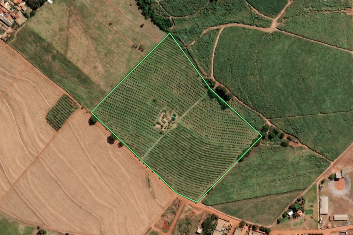 Imagem de satélite do imóvel rural em Paraíso (SP), com o contorno declarado no CAR desenhado por cima.