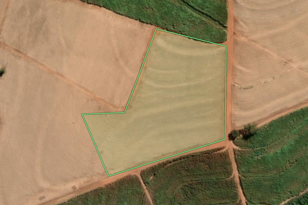 Imagem de satélite do imóvel rural em Paraíso (SP), com o contorno declarado no CAR desenhado por cima.