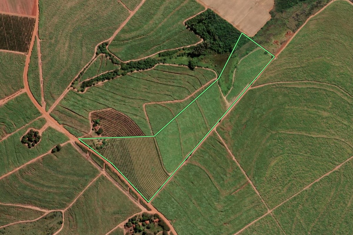 Imagem de satélite do imóvel rural em Paraíso (SP), com o contorno declarado no CAR desenhado por cima.