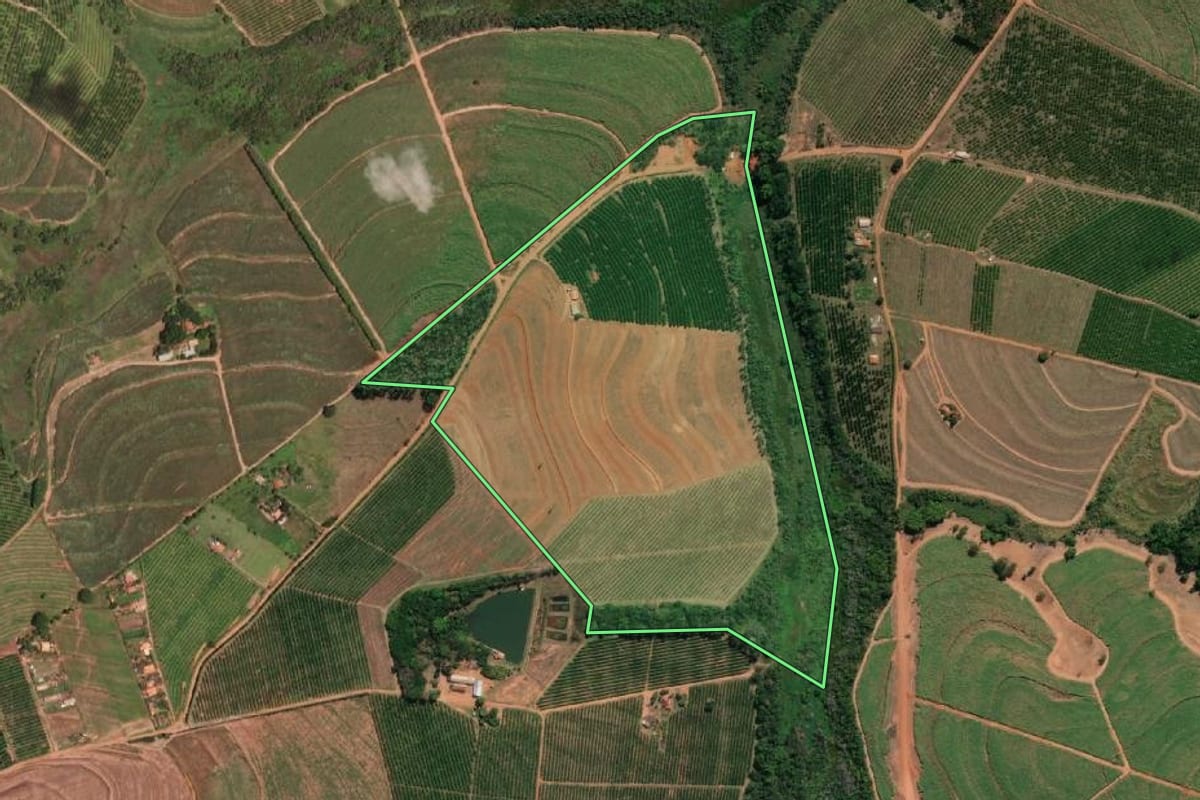 Imagem de satélite do imóvel rural em Paraíso (SP), com o contorno declarado no CAR desenhado por cima.