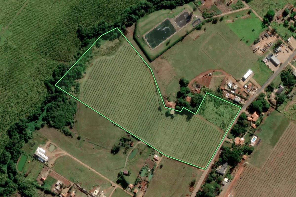 Imagem de satélite do imóvel rural em Paranapanema (SP), com o contorno declarado no CAR desenhado por cima.